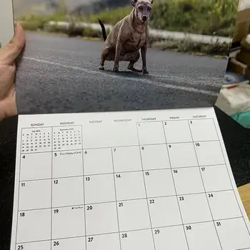 Câinele Calendar De Perete Amuzant Caca Calendar De Perete Decor De Perete Calendar Cu Rahat De Câine Fotografii Pentru Birouri Școală Acasă Hotel - Imagine 2  