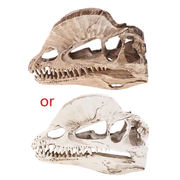 Dilophosaurus Craniu de Dinozaur Rasina de Artizanat pentru Fosili Schelet Modelul de Predare Dropship - Imagine 1  