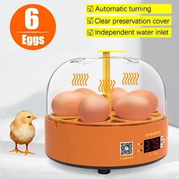 Mini Ou Automata Incubator Incubator Auto de Cotitură Digital Temp Control Egg Incubator pentru Copiii de Pui, Păsări, Rață, Gâscă 6 Ou - Imagine 1  