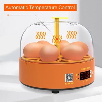 Mini Ou Automata Incubator Incubator Auto de Cotitură Digital Temp Control Egg Incubator pentru Copiii de Pui, Păsări, Rață, Gâscă 6 Ou - Imagine 2  