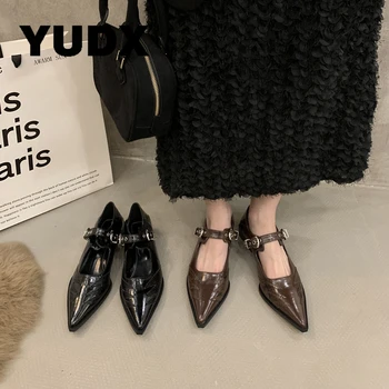 Moda A Subliniat Deget De La Picior Gros Scăzut Negru Tocuri Femei Elegante Cataramă Mică Adâncime Pompe De Primăvară Nouă Tendință Doamnelor Pantofi Mary Janes Rochie Chic - Imagine 2  