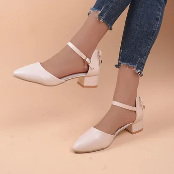 Moda coreeană a Subliniat Toe Pompe de Femei 2024 Primăvară Nouă Toc Pătrat Confortabil Doamnelor Pantofi Rochie Simpla de Birou Doamnelor Pantofi - Imagine 2  