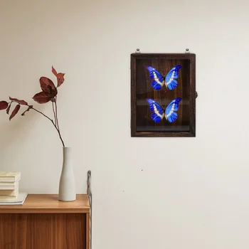 Opere De Artă Din Lemn Display Stand Insecte Prezenta Fluturi Specimen Vintage Cutie De Flori Uscate De Stocare Pahar Praf De Bug-Cadru - Imagine 2  