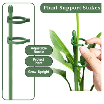 Planta verde Rug de Plante Clipuri Anti-depunere de Flori Stand Suport Orhidee Suport Stâlp de Îngrijire a Plantelor Accesoriu de Plante Fix - Imagine 2  