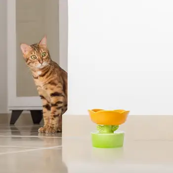 Ridicat Pisică Câine Bol Alimentar Creative În Formă De Floare Alimentare De Alimentare Cu Apă Ceramica Bol De Apă Accesorii Pentru Animale De Companie Pentru Pisici Produse Pentru Animale De Companie - Imagine 2  